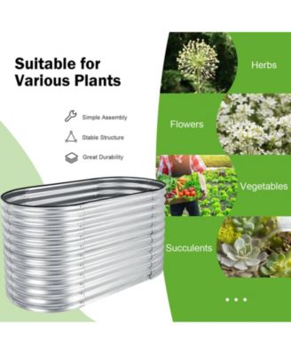 5 x 3 x 2 Feet Metal Oval Raised Garden Bed with Open Bottom Design