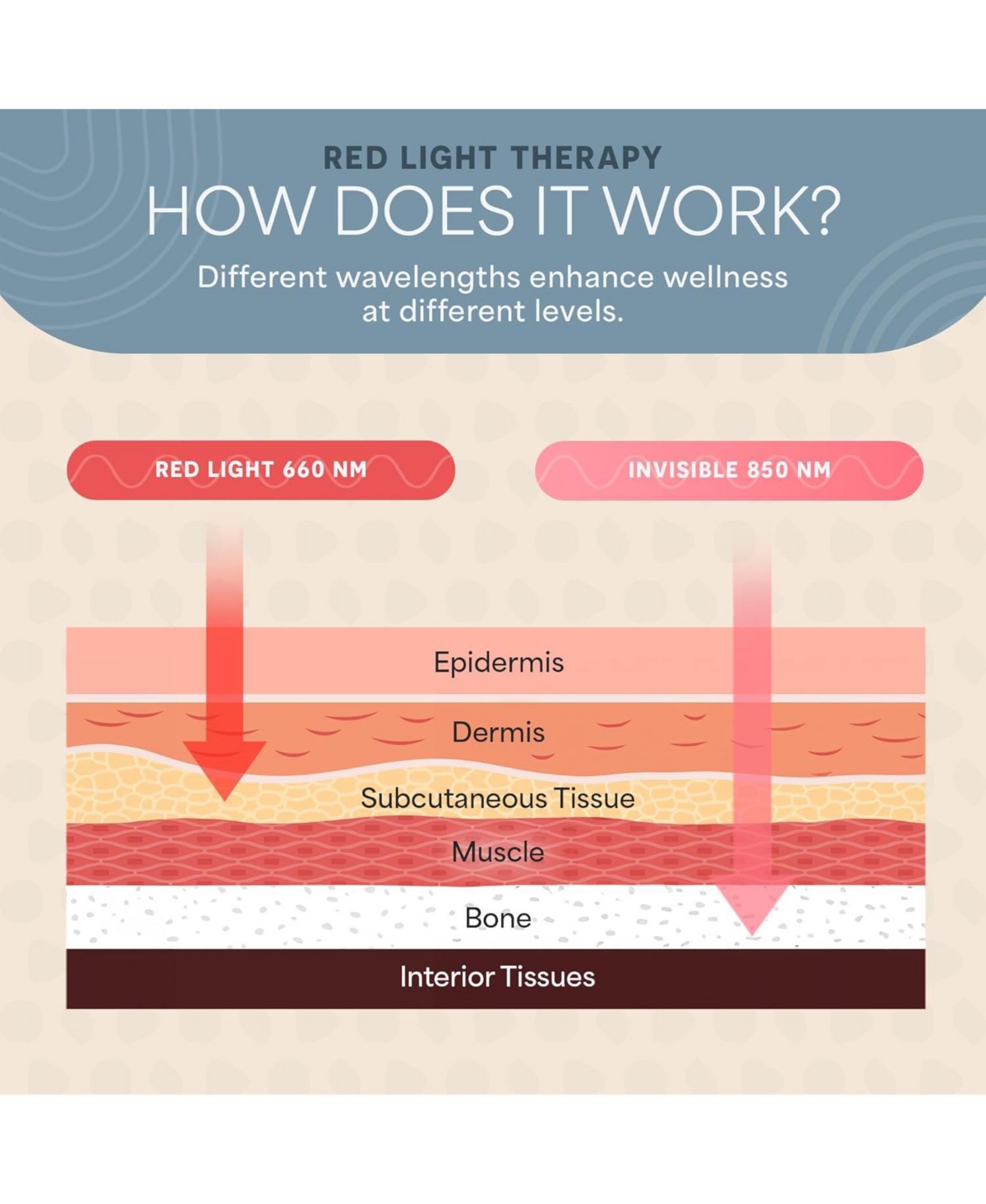 LifePro Red & Near Infrared Light Therapy Foot & Ankle Brace – Pain Relief for Feet, Ankles, and On-Demand Therapy