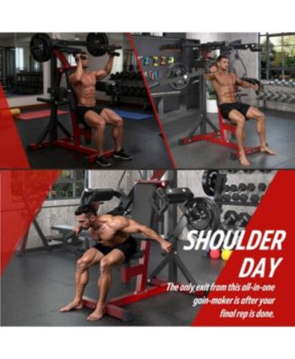 Deltoid and Shoulder Press Machine, 3-in-1 Shoulder-Specific Machine with Shoulder Press, Lateral Raise & Reverse Fly