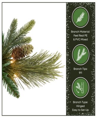 National Tree 6.5' Carolina Pine Tree with 650 Clear Lights