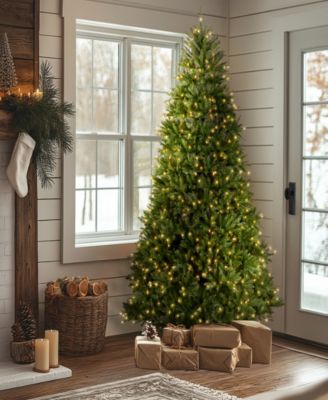 9' Dunhill Fir Full-Bodied & Hinged Tree With 900 Clear Lights