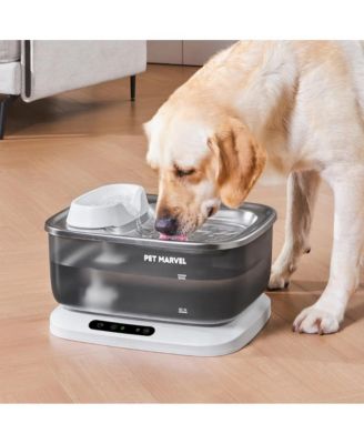 Cordless Dog Water Fountain 7L/236oz