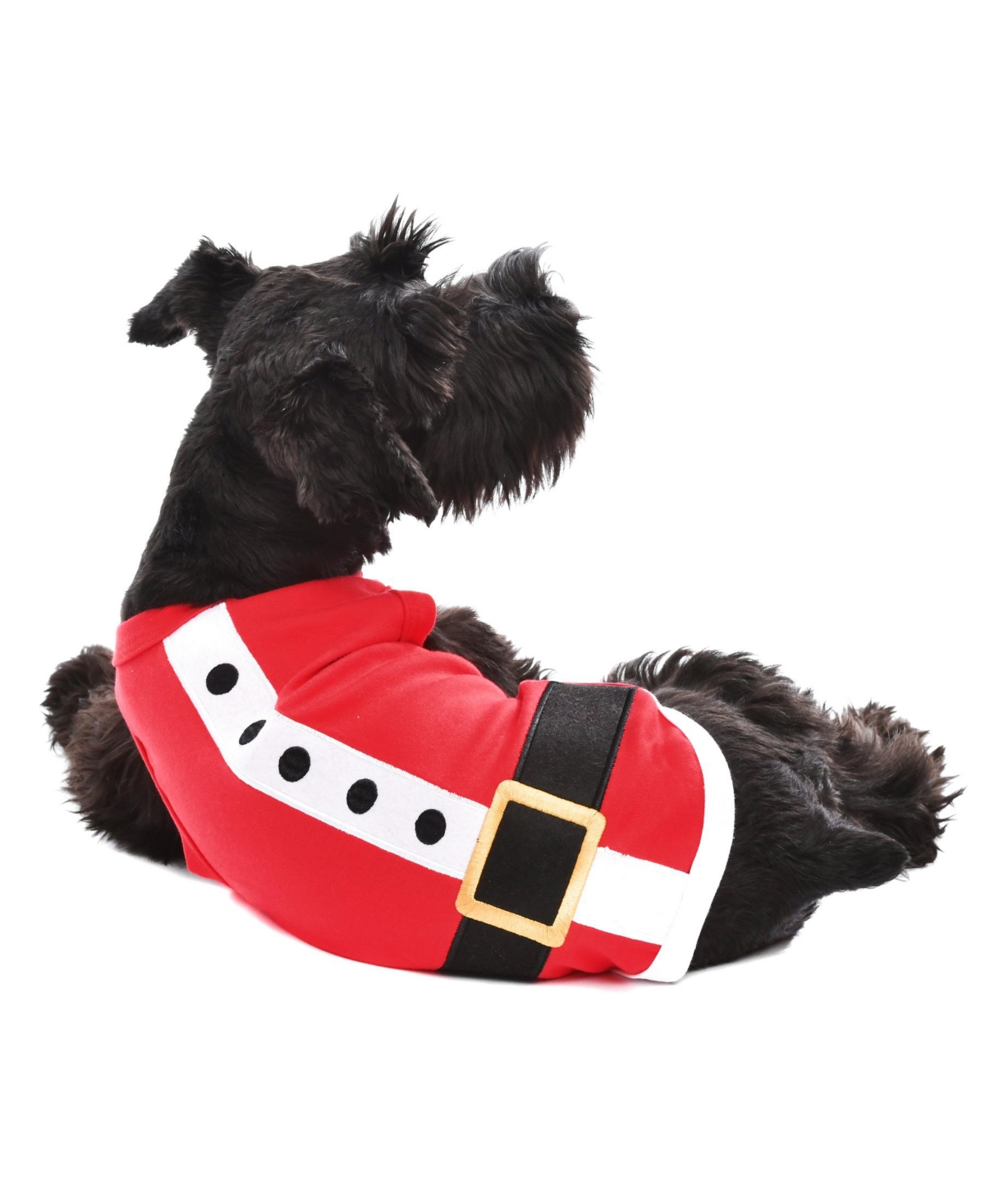 Parisian Pet Santa Outfit Holiday Dog T-Shirt