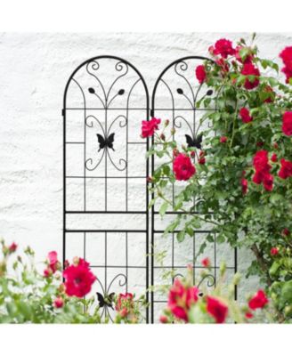 2 Pack Metal Garden Trellis 71" Rustproof Black