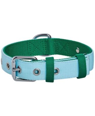 Color-Block with Metal Buckle Dog Collar in Sky Blue and Dark Green Neck 13"-16.5" Size Medium