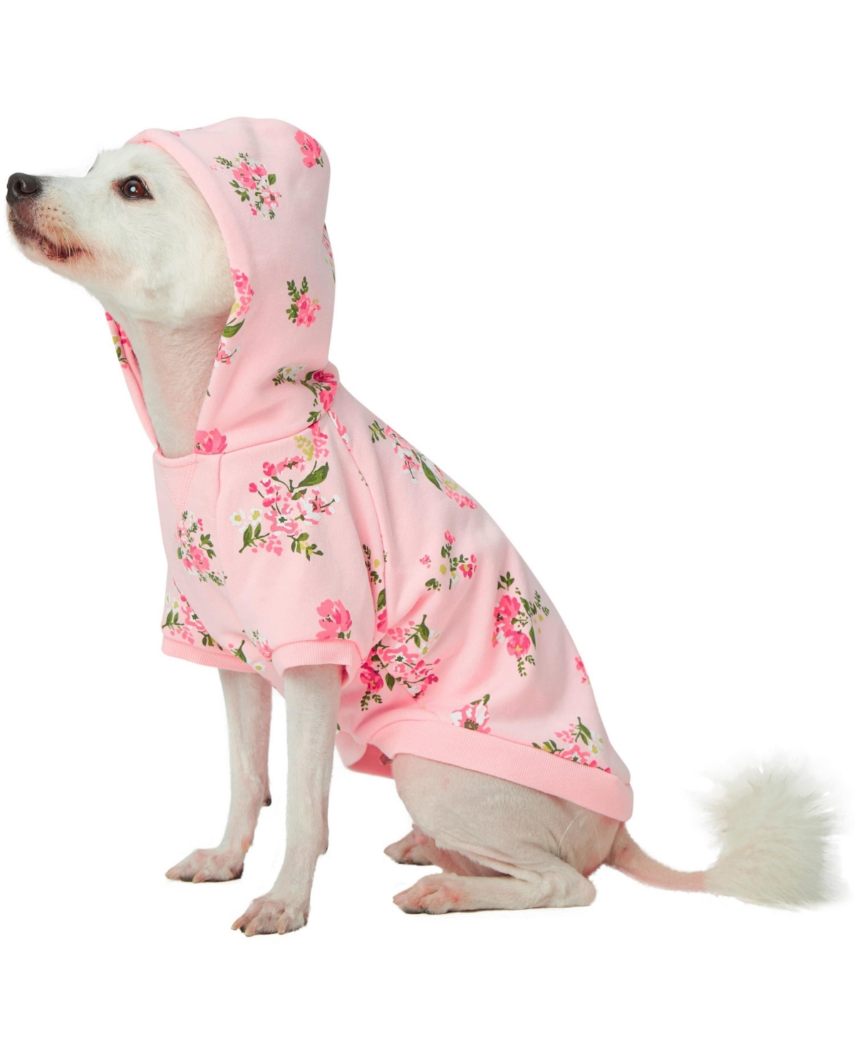 Blueberry Pet French Terry Knit English Rose Dog Sweatshirt and Hoodie