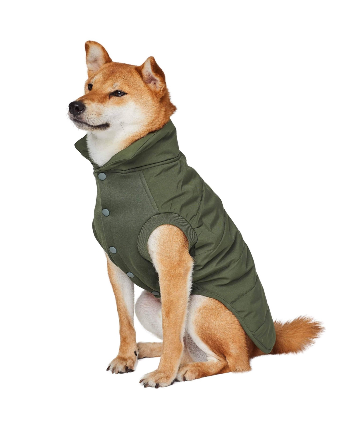 Blueberry Pet Windproof Waterproof Quilted Dog Puffer Jacket with Dual Zipped Leash Opening