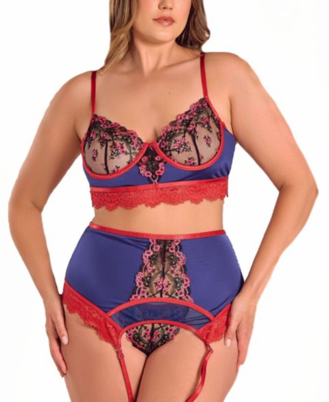 Бралетт Garter, кружево, 3 предмета — iCollection, цвет: Тёмно-синий / Красный