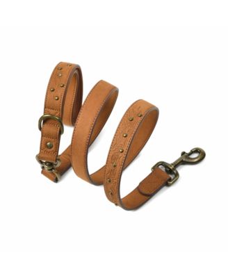 Silver-Powered Freshness Microfiber Suede Dog Collar – Embossed Classic Pattern with Bronze Studs