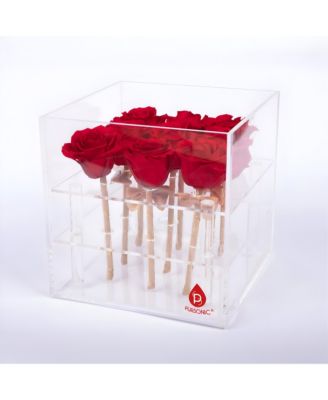 9 Preserved Roses in Acrylic Box: 100% Real Natural Roses That Last Over 1 Year