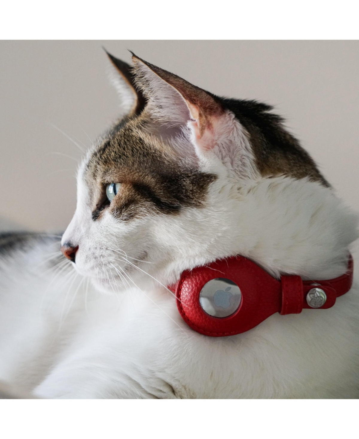 Blueberry Pet Silver-Powered Freshness Microfiber Leather AirTag Cat Collar with Bell Sweet Pink