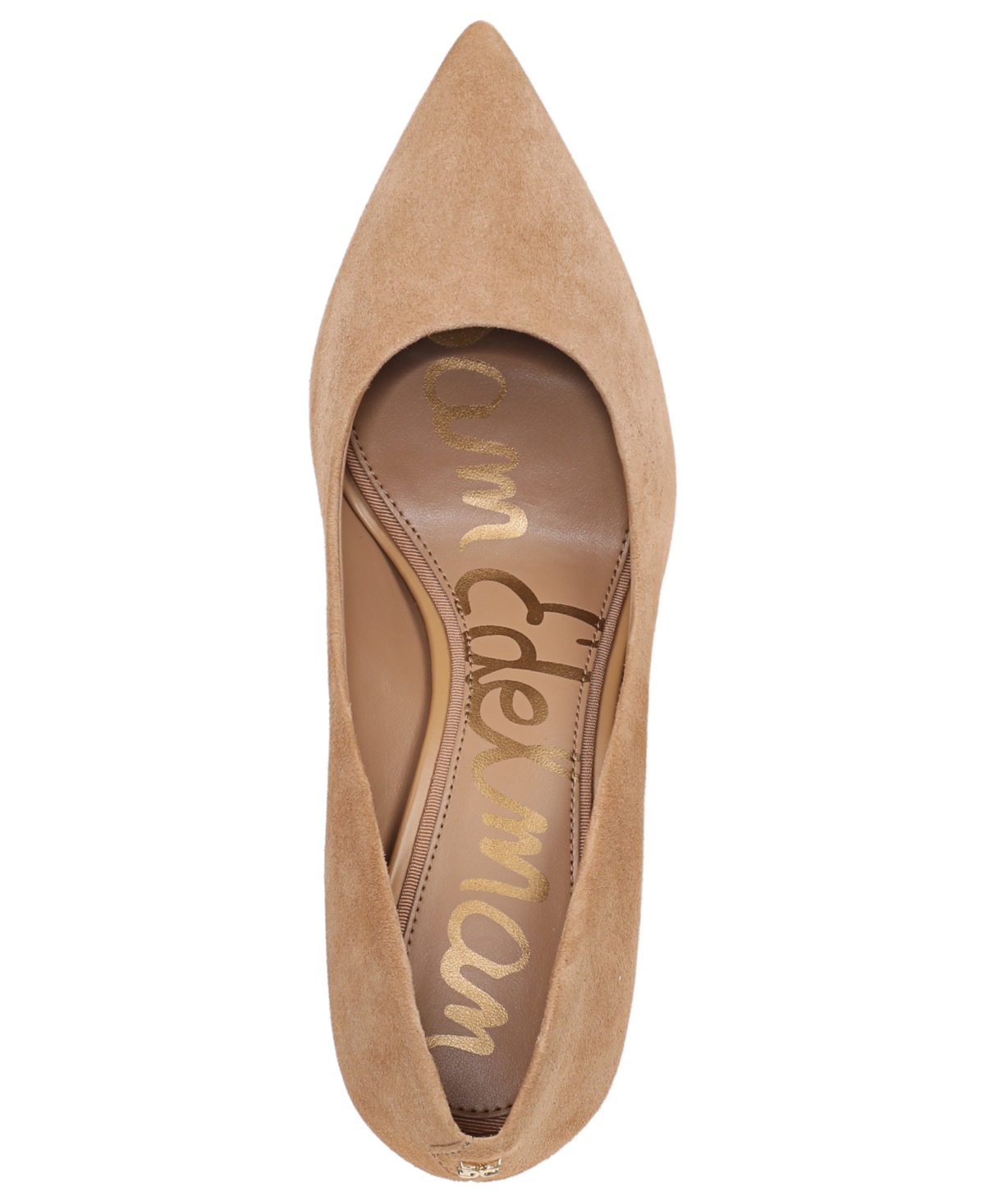 Sam Edelman Hazel Pointed Toe Pump In Brown