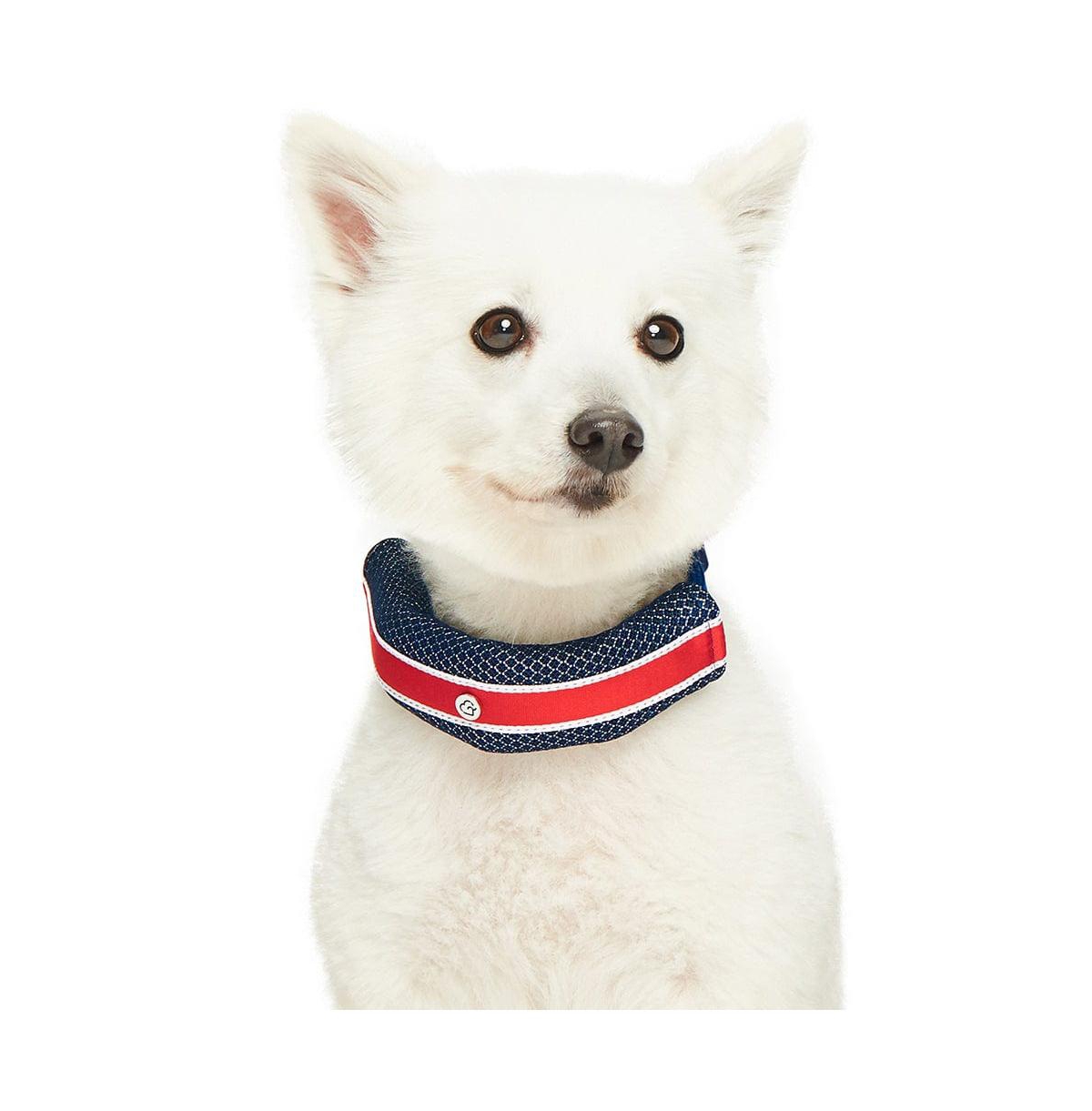 Dogs & Cats Co. Striped Dog Collar with Removable Padded Comfort Cover Red and Pink