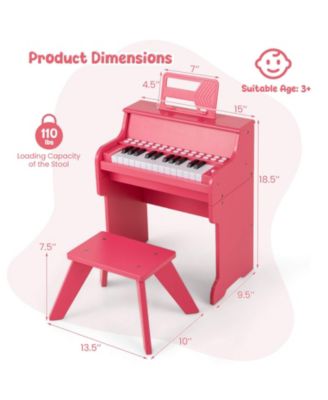 25 Keys Digital Piano with Music Stand Stool Lighted Keys Teaching Mode for 3+ Kids