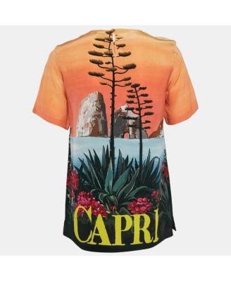 Women's Multicolor Capri Print Silk Top