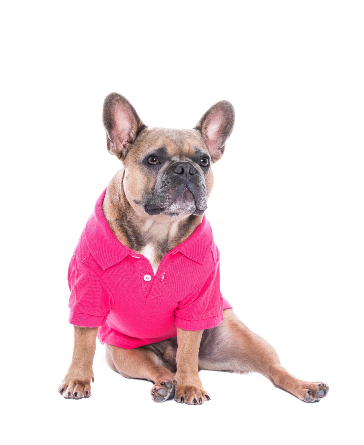 Parisian Pet Polo Pink