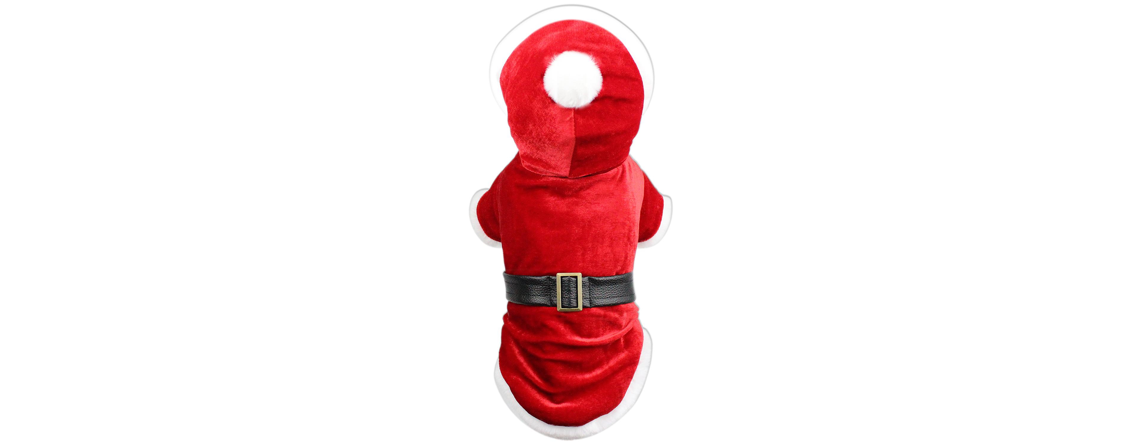 Parisian Pet Santa Claus Hoodie