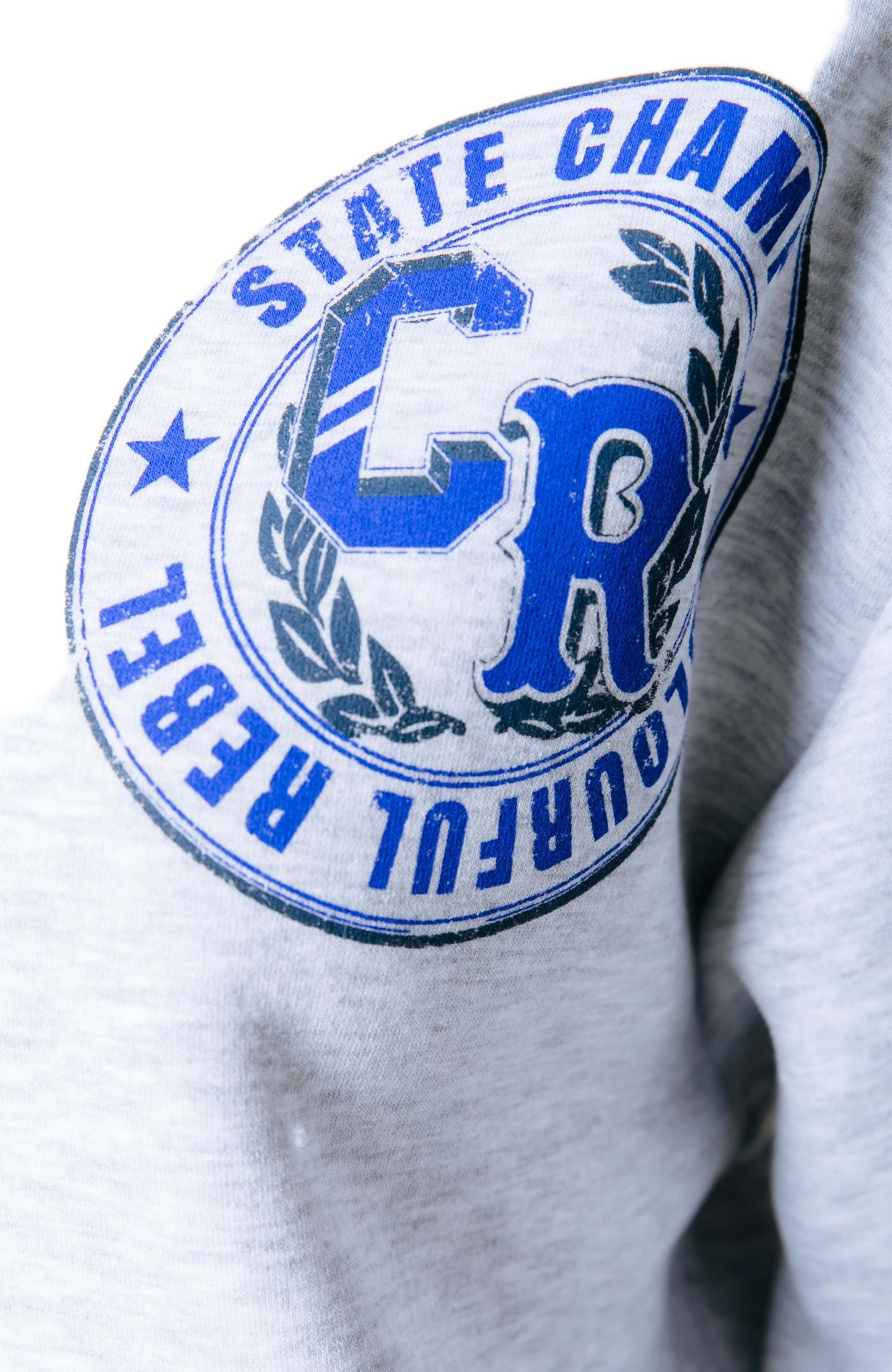Женский топ Colourful Rebel State Champ 23 Dropped Shoulder Sweat, цвет: Пастельный серый — фото 3