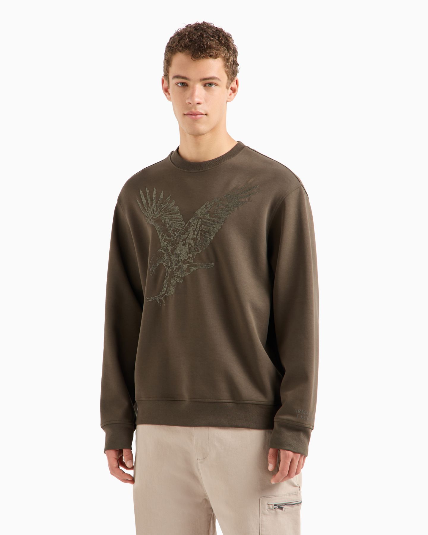 Мужские толстовки A|X Armani Exchange Regular-Fit Eagle Logo Embroidered, цвет: Чёрный оливковый — фото 1