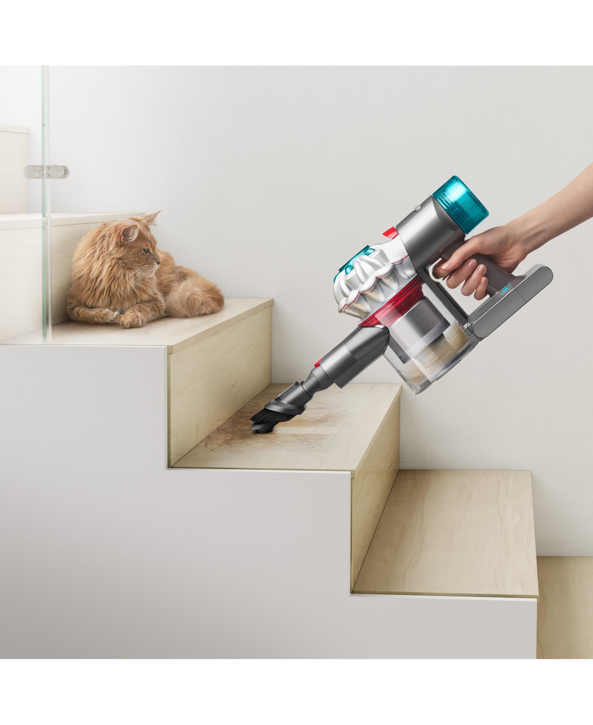 Dyson V8 Absolute Cordless Vacuum