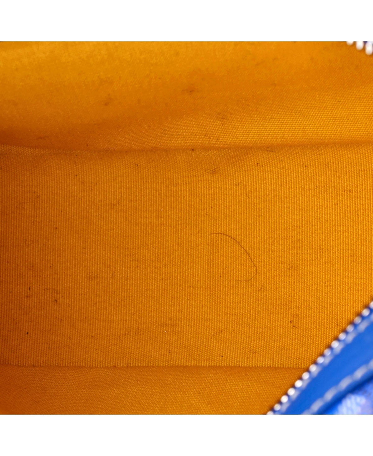 Pre-Owned Goyard Cap Vert Bag Coated Canvas