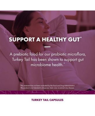 Turkey Tail Capsules, 240 ct (Pack of Two 120 ct Units)