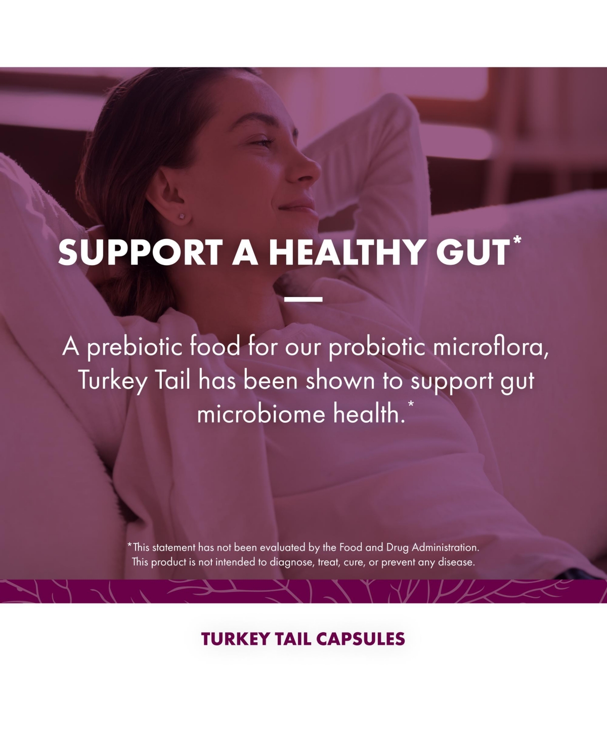 Host Defense Turkey Tail Capsules, 240 ct (Pack of Two 120 ct Units)