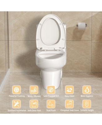 One-Piece Dual Flush 1.1/1.6 GPF Elongated Bathroom Fixture Comfort Seat Height,Soft-Close Seat,Glazed Surface