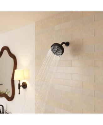 Moen Replacement Shower head