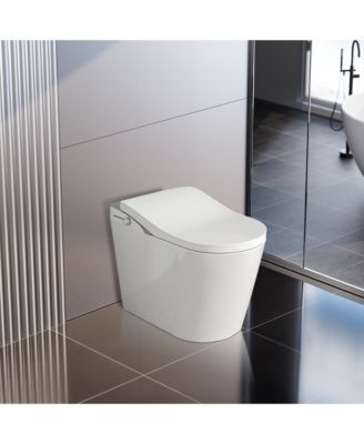 Tankless Smart  Bathroom Fixture