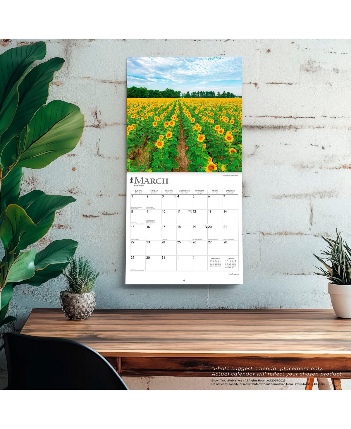 BrownTrout Sunflowers | 2026 12 x 24 Inch (Hanging) Monthly Square Wall Calendar | Plastic-Free