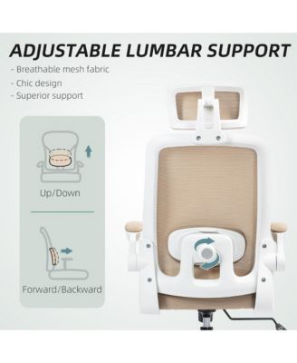 Ergonomic Office Chair, Mesh Desk Chair with Lumbar Support,