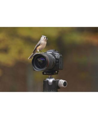 EOS R6 Mark III Mirrorless Camera with Stop Motion Animation Firmware