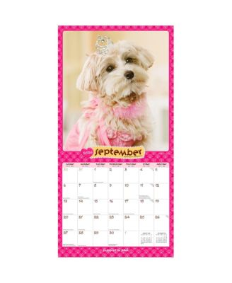 Puppies in Pink | 2026 12 x 24 Inch (Hanging) Monthly Square Wall Calendar | Plastic-Free