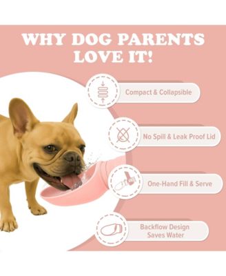 Collapsible Dog Water Bottle