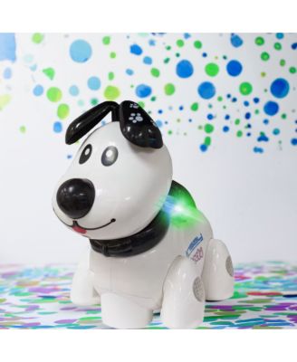 Smart Dog Toy with remote control