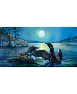 Moonlight Serenade 500 piece Jigsaw Puzzle for Adults