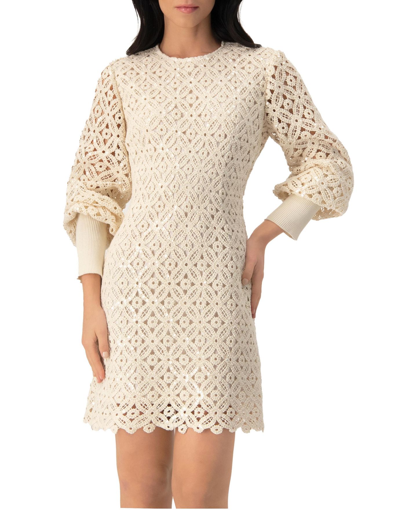 Женское платье Ivonne Embroidered Crochet Mini with Sequin Detailing, цвет: Натуральный — фото 1