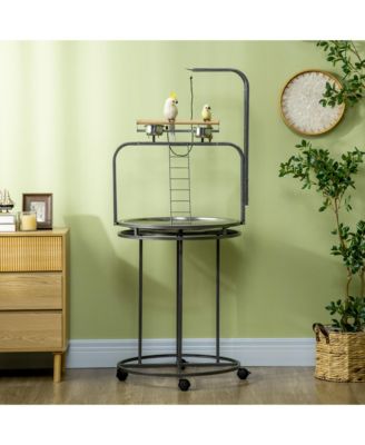 Parrot Sd Large Bird Perch Sd with Toy Hook & 3 Ladders