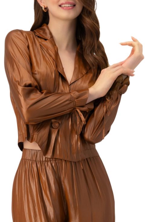 Женская рубашка Ivonne Two Button with Sleeve Ties, цвет: Коричневый