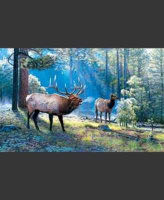 Spirited Exchange 550 piece Jigsaw Puzzle for Adults