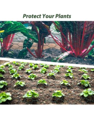 Galvanized Hex Chicken Wire for Garden and Coop