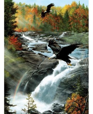 Gooseberry Falls 1000 piece Jigsaw Puzzle for Adults