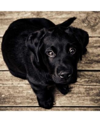 Modern Kitchen Food Cabinet with Adjustable Shelves, Spacious Countertop, Sturdy Organizer Pantry, Gray