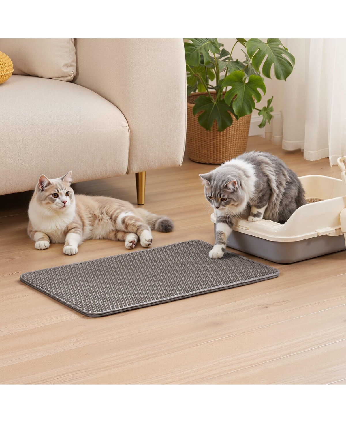 Double-Layer Honeycomb Cat Litter Mat, 24" x 15"