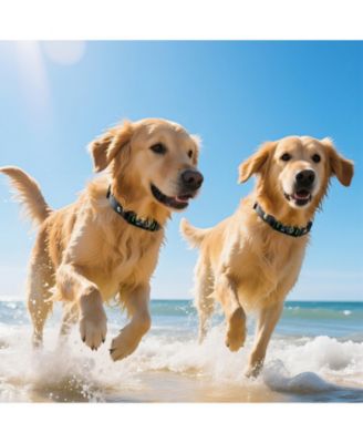 Waterproof Rechargeable Smart Bark Collar with 6 Sensitivity Levels, Black