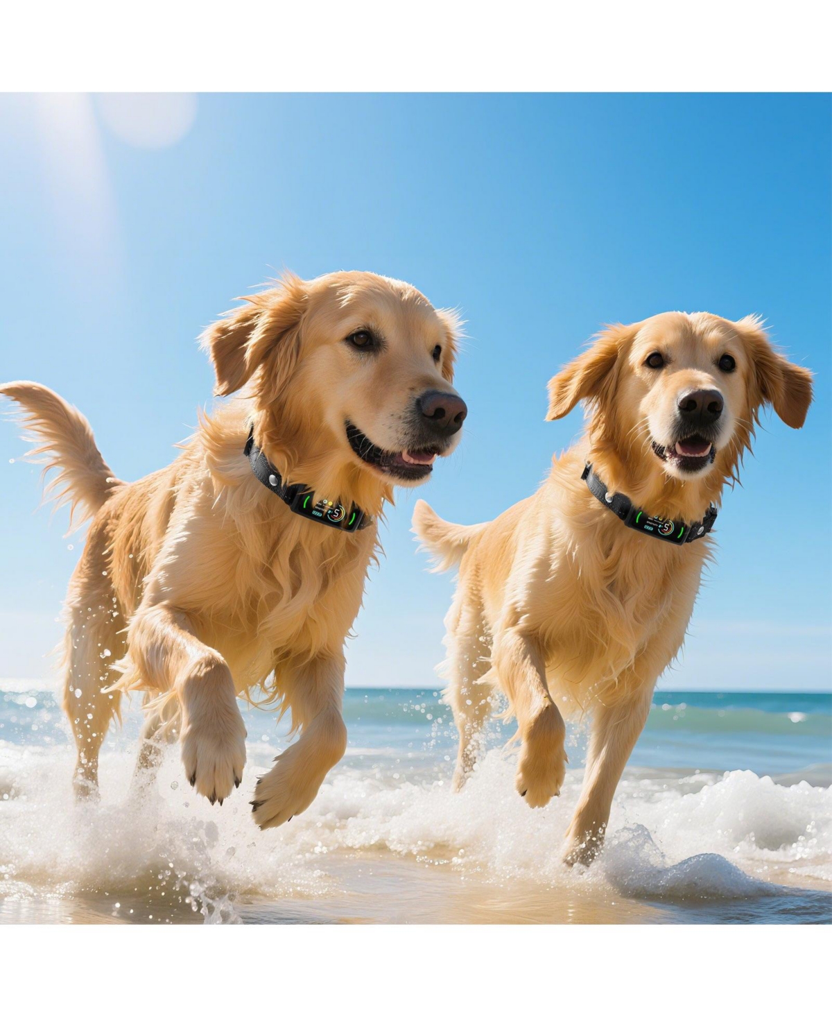 Cozito Waterproof Rechargeable Smart Bark Collar with 6 Sensitivity Levels, Black