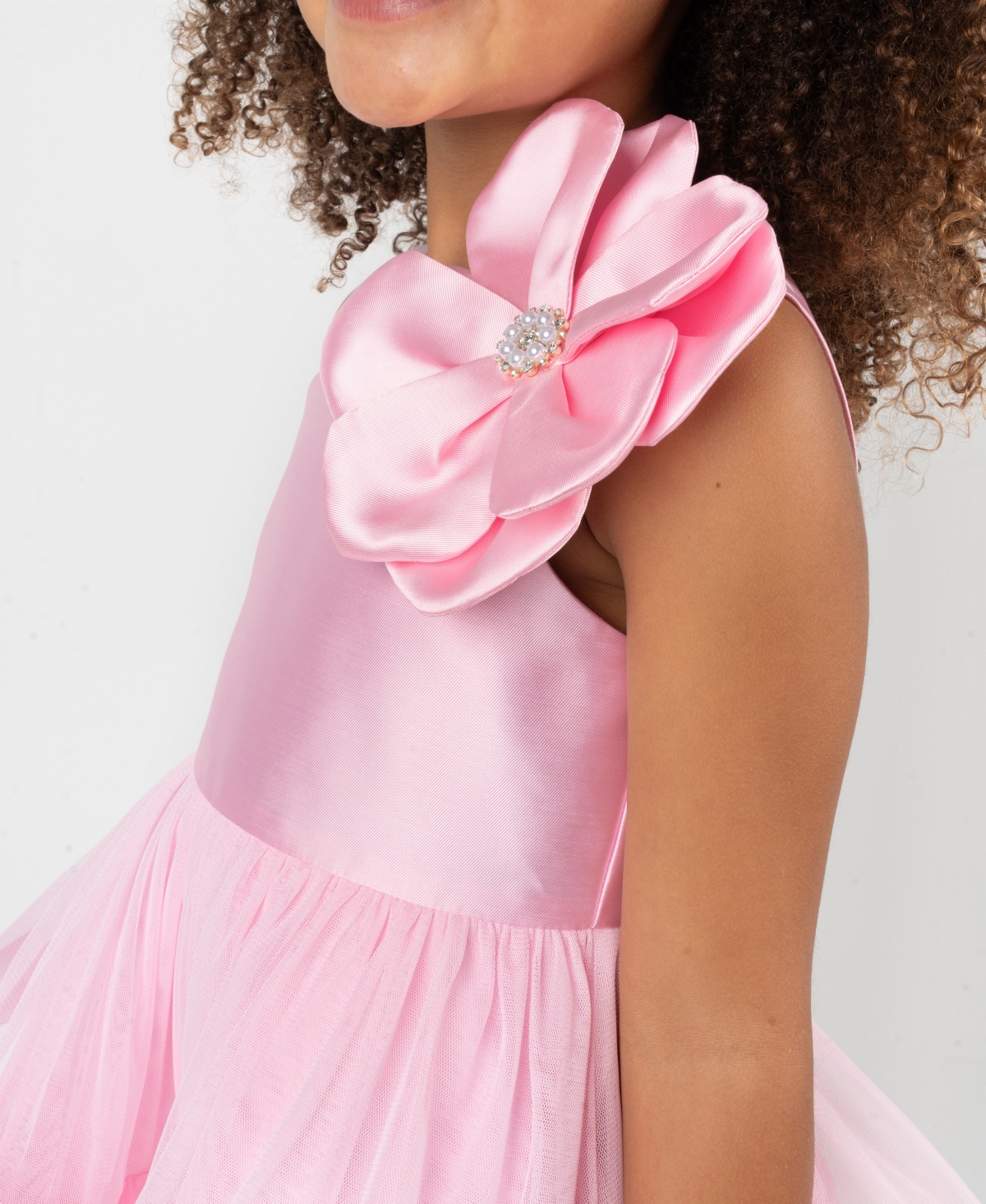 Rare Editions Girls' 2T-6X Mikado Sleeveless Mesh Skirt Dress