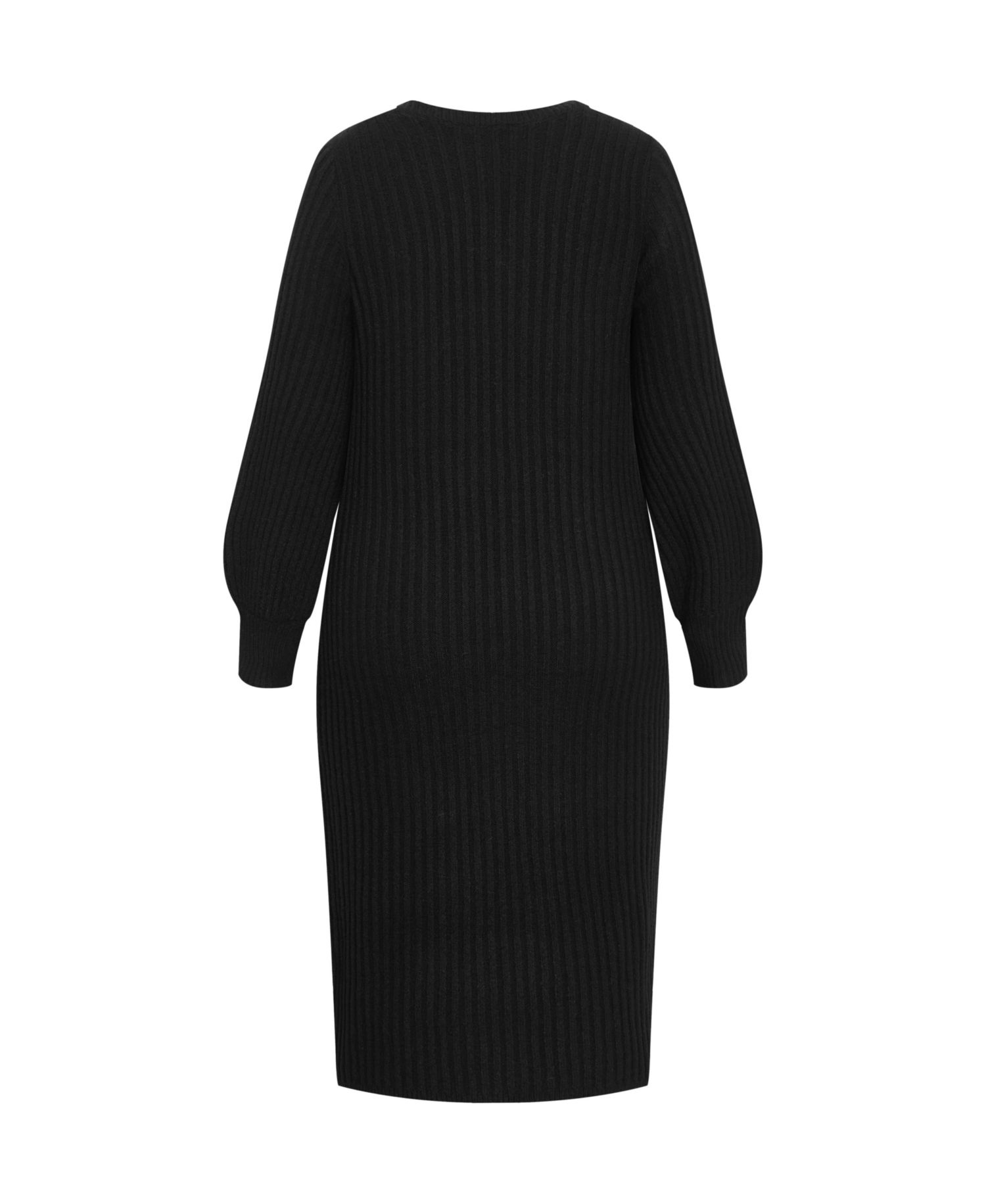 Plus Size Sarah Long Sleeve Rib Dress