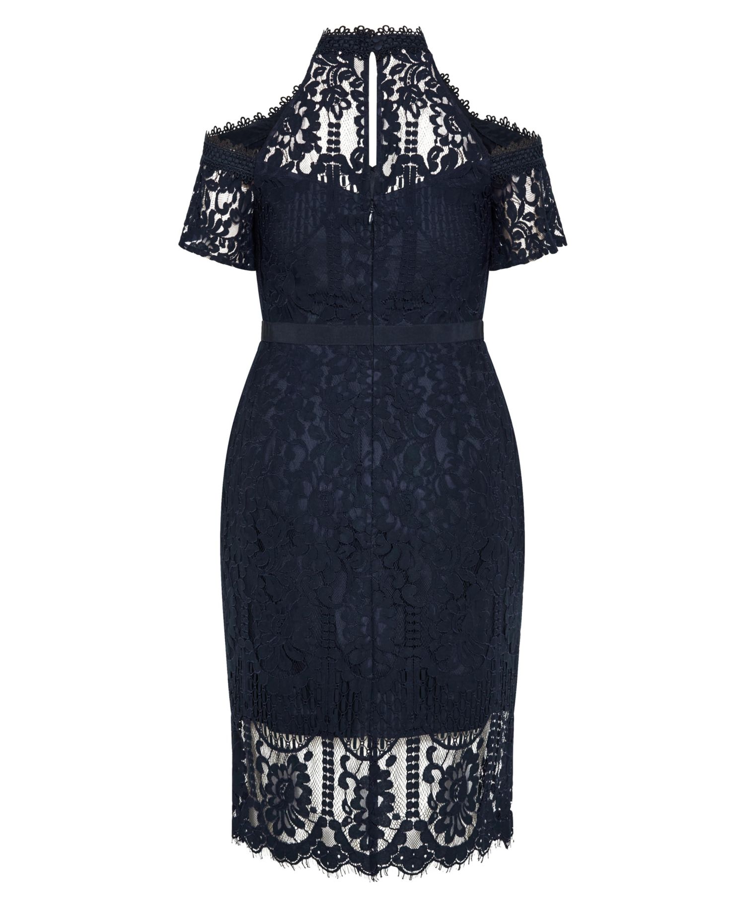 Plus Size Pippa Lace Dress